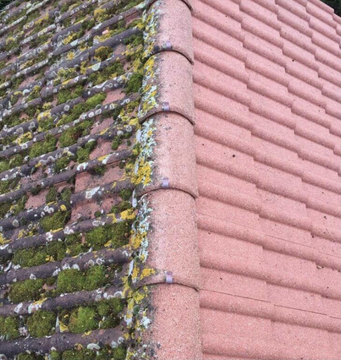 Demoussage en cours juvignies 60112